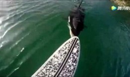 渔女最新爆料,揭秘娱乐圈背后的惊人真相