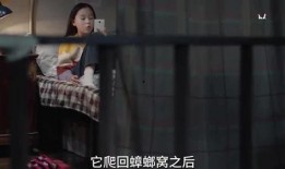 晨熙姐姐爆料视频大全最新,揭秘娱乐圈幕后真相