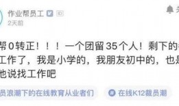 编程猫员工爆料最新,最新内部动态与行业洞察