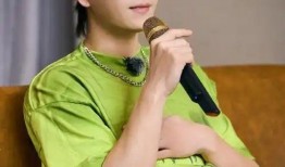 娱乐爆料王栎鑫视频大全,精彩瞬间回顾