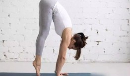 瑜伽老师爆料视频大全下载,揭秘瑜伽界的秘密与真相