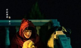 803在线观看免费,揭秘热门剧集背后的精彩故事