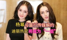 内娱吃瓜一姐小说免费阅读,揭秘娱乐圈幕后风云